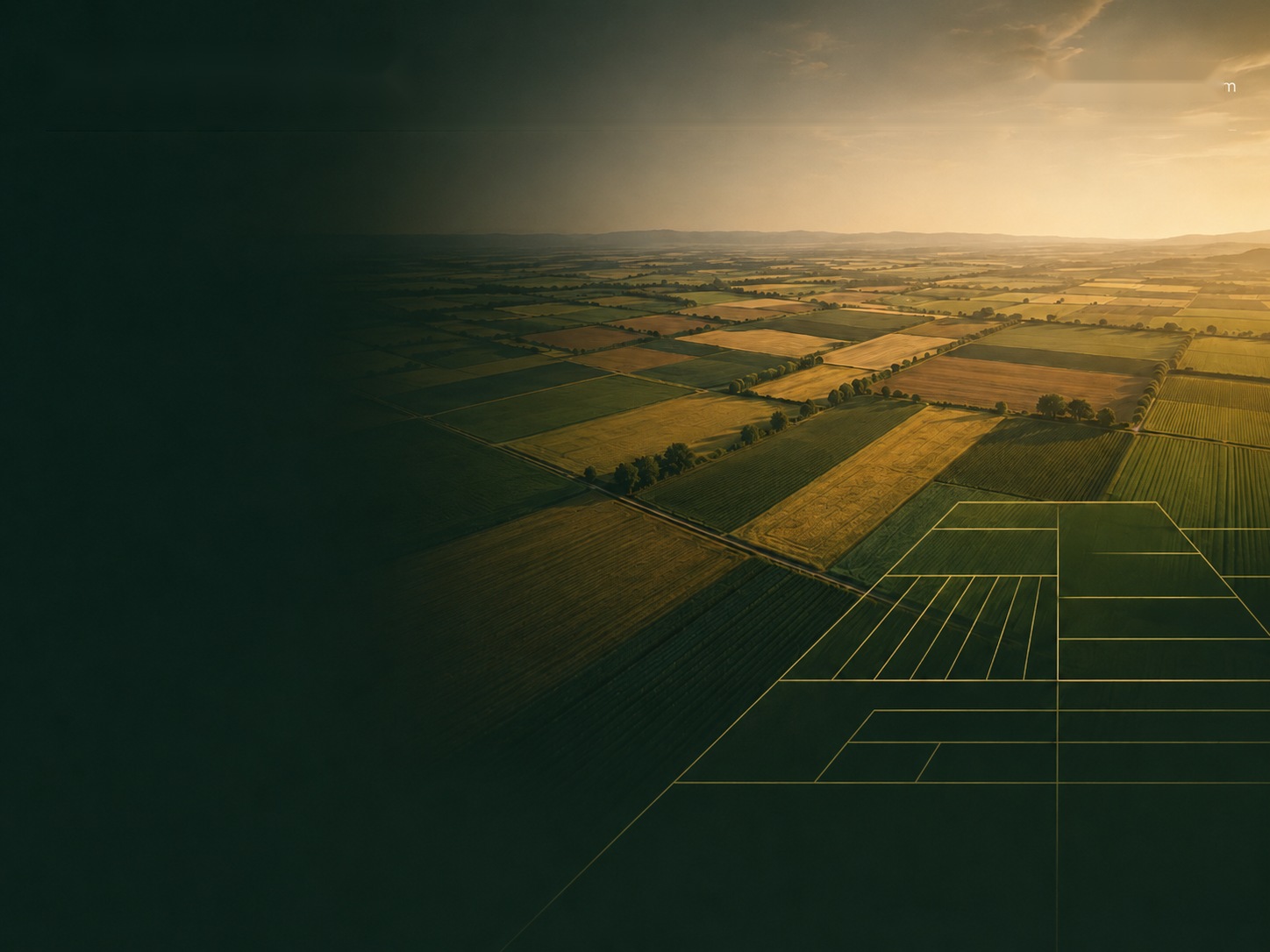 Aerial view of cultivated farmland at sunset